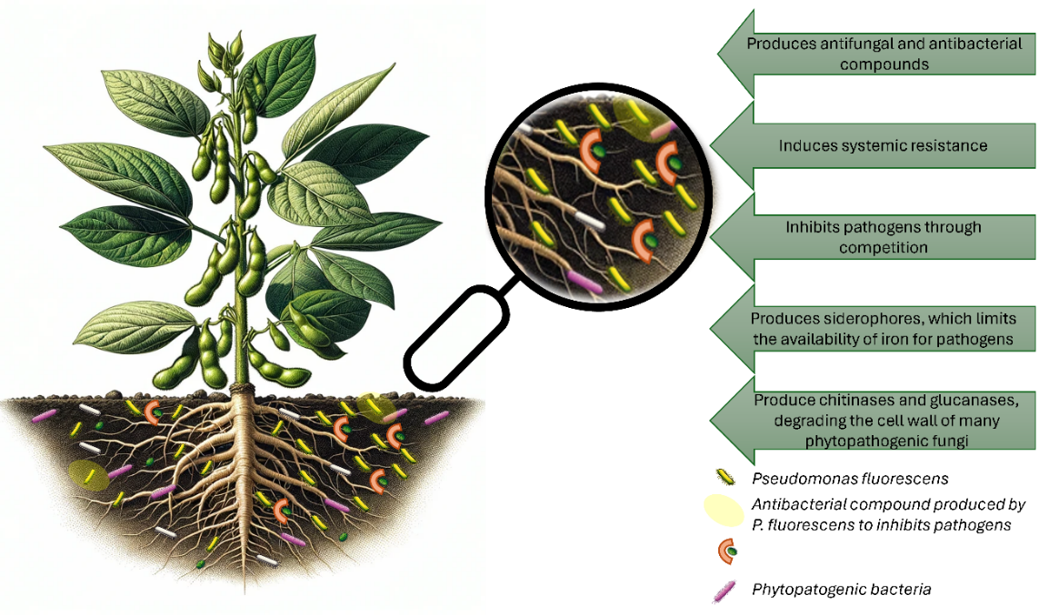 Desenho de uma flor Descrição gerada automaticamente com confiança média