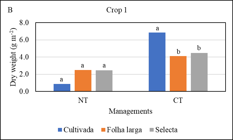 Gráfico, Gráfico de barras, Gráfico de cascata Descrição gerada automaticamente