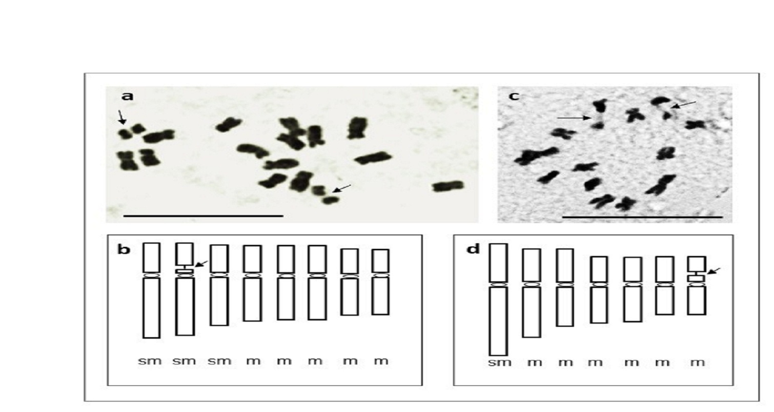 figure-1_7FkCxlry.jpg