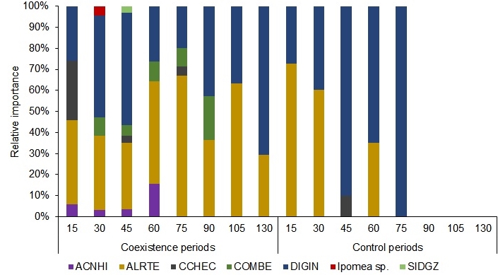 Gráfico, Gráfico de barras Descrição gerada automaticamente