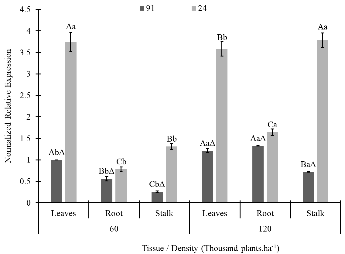 Gráfico Descrição gerada automaticamente