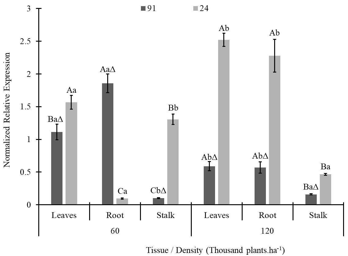 Gráfico, Gráfico de barras Descrição gerada automaticamente